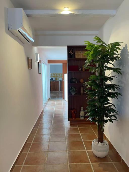 Casa Da Oliveira Villa Mourão Dış mekan fotoğraf